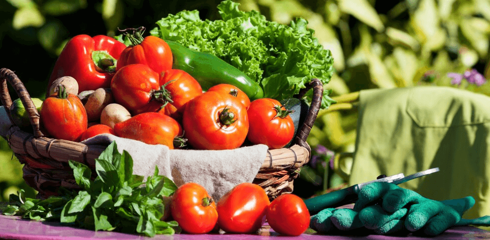 ferticrops_bg_empresa